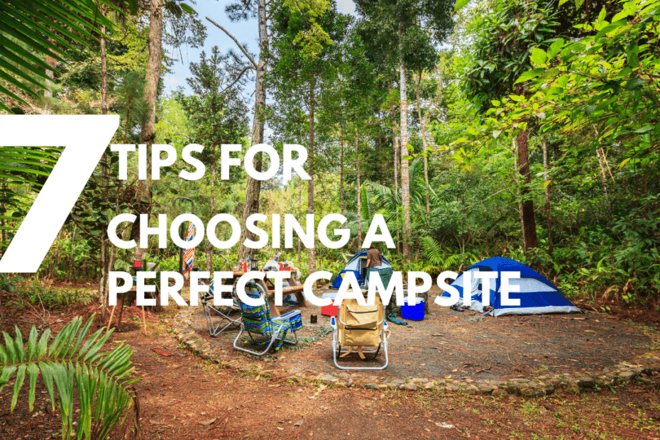 Beginner's Guide How to Choose a Perfect Campsite