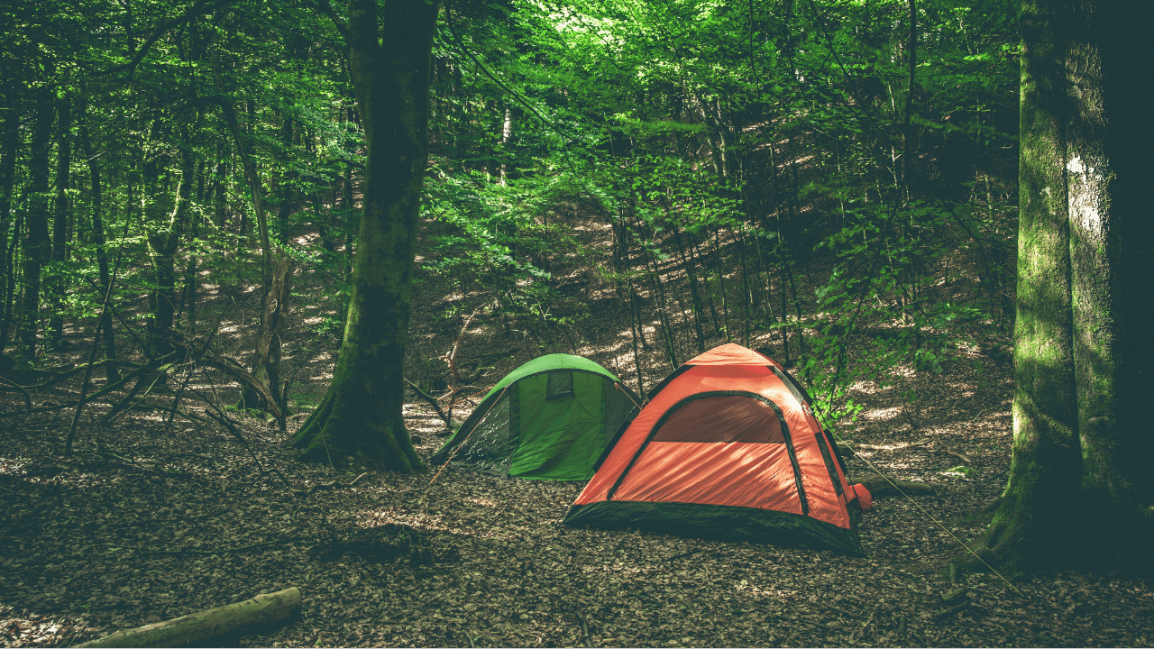 Tent Seasonality